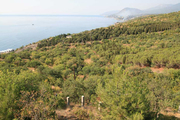Продам землю под застройку в Алуште
