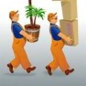 физические работы  067 261 96 03