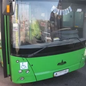 Автобус  МАЗ 206