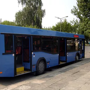 Автобус  МАЗ 103