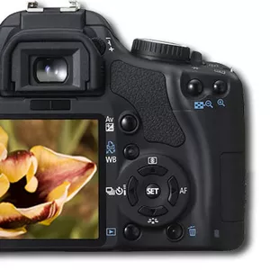 Canon EOS 450D Sigma 18-200 mm