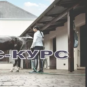 Бизнес-курс для начинающих предпренимателей