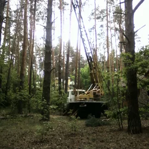 Спил деревьев,  аварийных ветвей. 0673393531 Расчистка участков. Автовышка 18м-30м