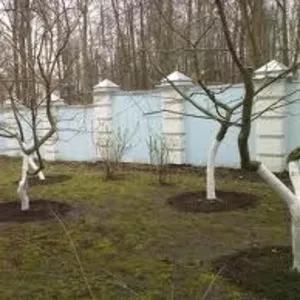обрезка деревьев весь Киев. 067 339 35 31