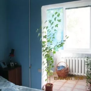 Трехкомнатная квартира