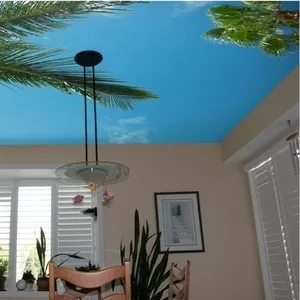 металлопластиковые окна WDS