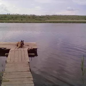Для работы Малинуа