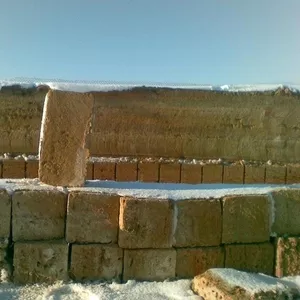 Камень- ракушечник(Крым).