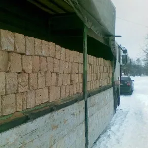Ракушечник(крымский).
