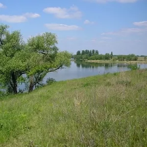 Продам дом в Черниговской области село Вересочь