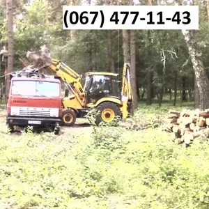 Спиливание деревьев Одесса. Аварийное удаление деревьев. Вывоз.    