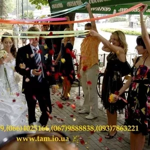 Веселье на свадьбу,  корпоратив,  юбилей в Киеве! Тамада, музыка, баянист, dj, видео, фото