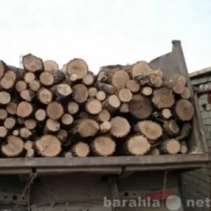 Дрова