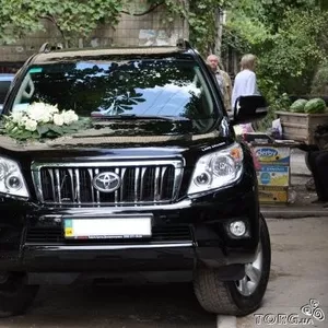  водитель на Toyota Prado