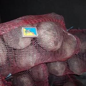продам свеклу