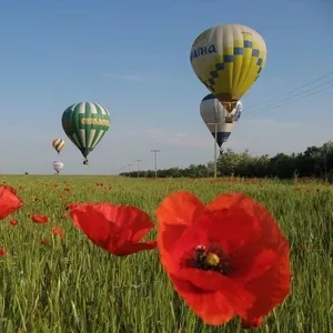 Полеты на воздушном шаре в Крыму и Украине