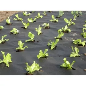 Агроволокно,  спанбонд,  защита от сорняков 50г/м2 3, 2м*10м