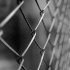 Сетка Рабица от производителя Ровно