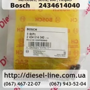 2434614040 Удерживающая пружина DAF,  Iveco,  KHD,  MAN,  Mercedes,  Renaul