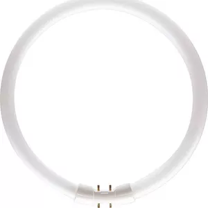 Кольцевая лампа Philips MASTER TL5 Circular 40W/827 (60W/830)1CT 430