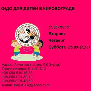 Айкидо в Кировограде для взрослых и детей
