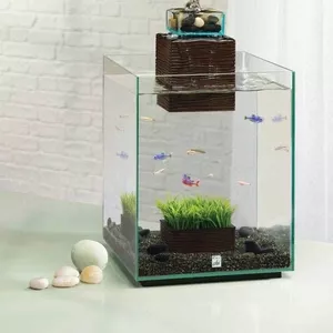 Комплексное обслуживание аквариумов