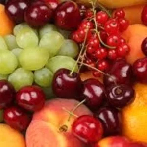 Работники на сбор фруктов и винограда