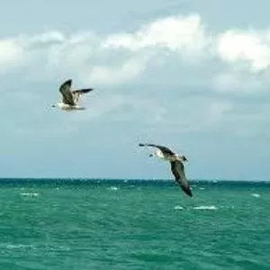 Азовское море - ежедневные выезды из Луганска