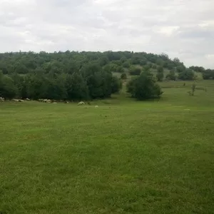  земельный участок  80 соток лкх