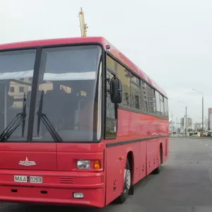 Новый автобус МАЗ-152 062 экспортный вариант