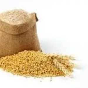 Куплю овес