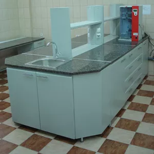 Лабораторная мебель                                                   