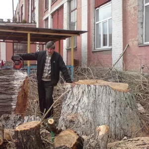 Спил деревьев Киев Удаление пней дробление веток кронирование