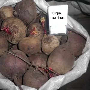 Продам 70 кг. свеклы