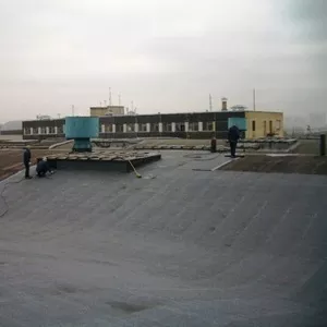 Услуги по ремонту и монтажу кровли в  Донецке