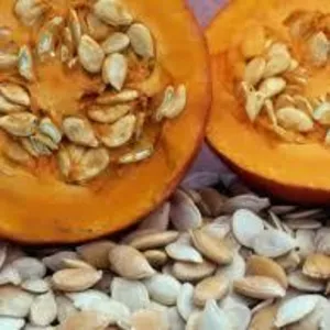 Качественные семена тыквы