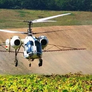Обработка подсолнечника вертолетом