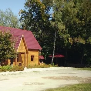 продам кафе-бар+сауна