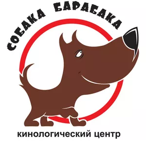 Дрессировка, натаска собак охотничьих пород!!!