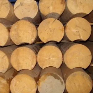 Доска,  кругляк,  брус