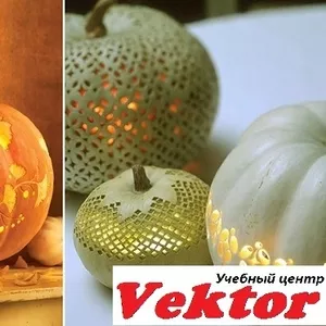 Курсы карвинга