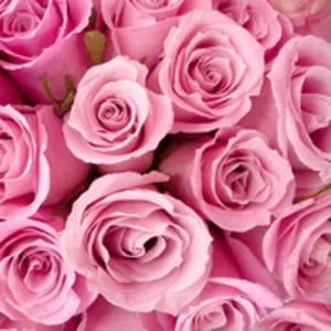 Флордизайн. Курсы.