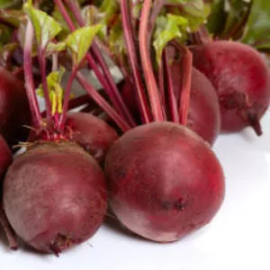 Продам цибулю, капусту, буряк