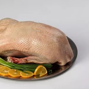 мясо домашнего гуся