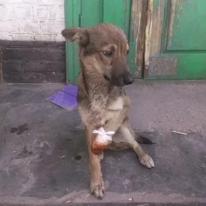 В самые заботливые руки!
