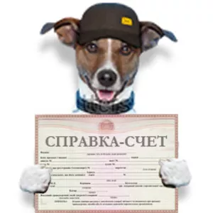 оформление СПРАВКИ-СЧЕТА!!!!