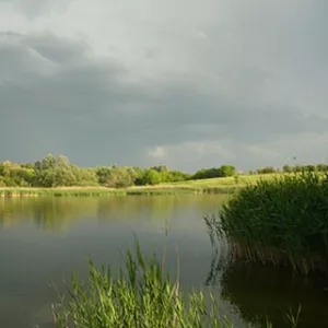 Продается два водоема для ловли рыбы в Кировоградской обл.