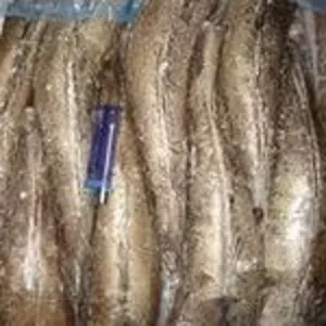 Продам рыбу и морепродукты.