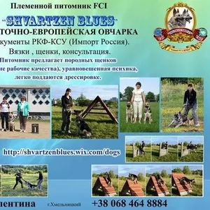 Восточноевропейская овчарка. Щенки!