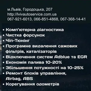 ЧИП Тюнинг,  удаление катализаторов и сажевых фильтров во Львове